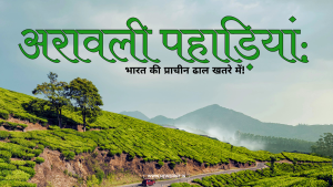 NewsHint हिंदी डिजिटल न्यूज़ पोर्टल – तथ्य आधारित और भरोसेमंद समाचार